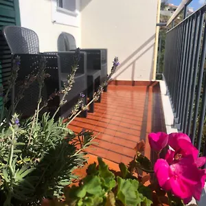 Sunshine , Gaula Portogallo